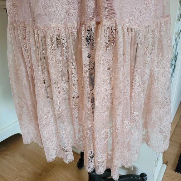 Pink Mary Cottagecore maxy lace dress with floral appliques Velvet accents Y2K - Picture 11 of 13